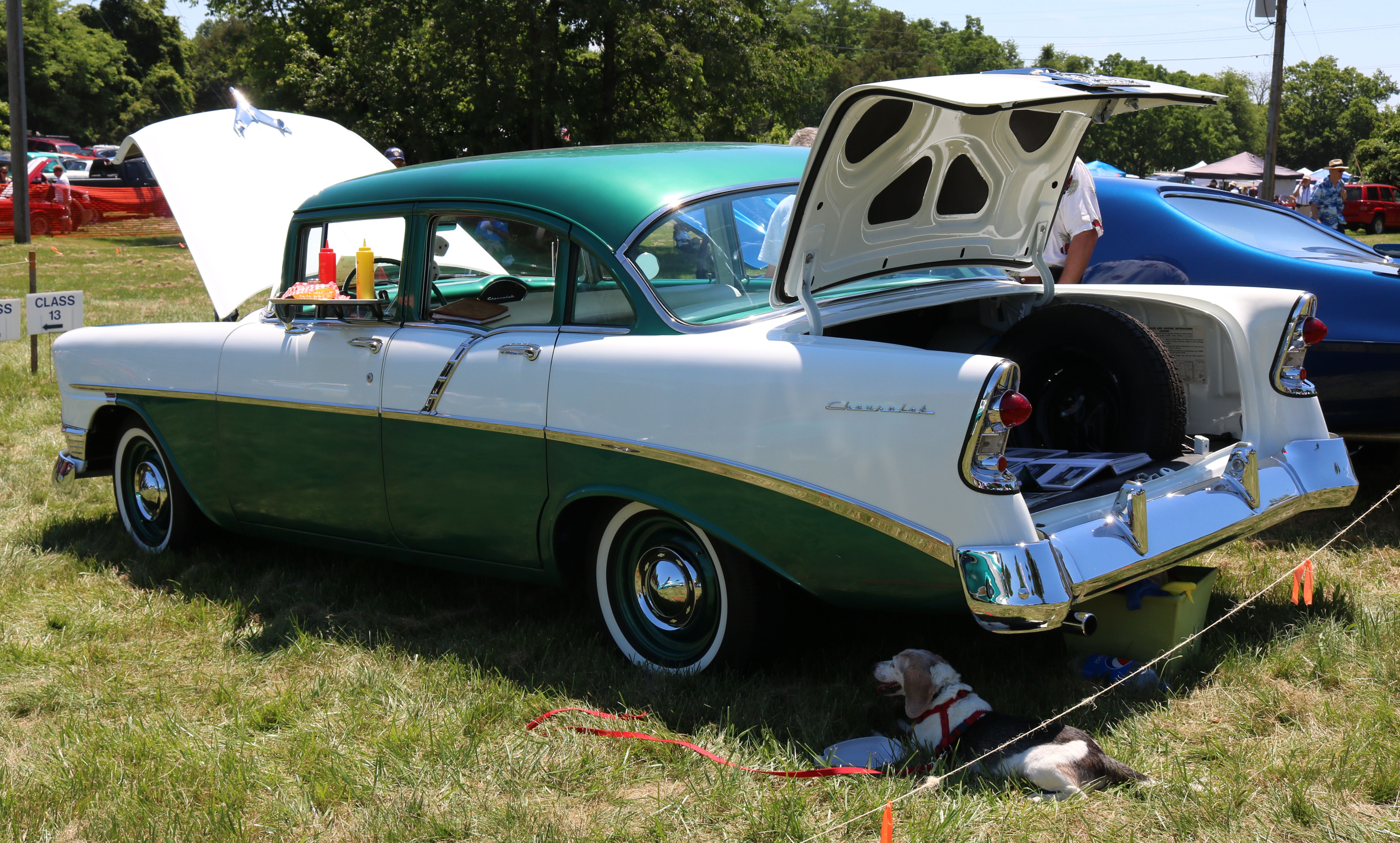 Betsy at Sulley show